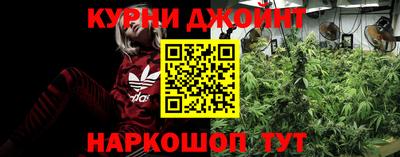 крисы Рязань
